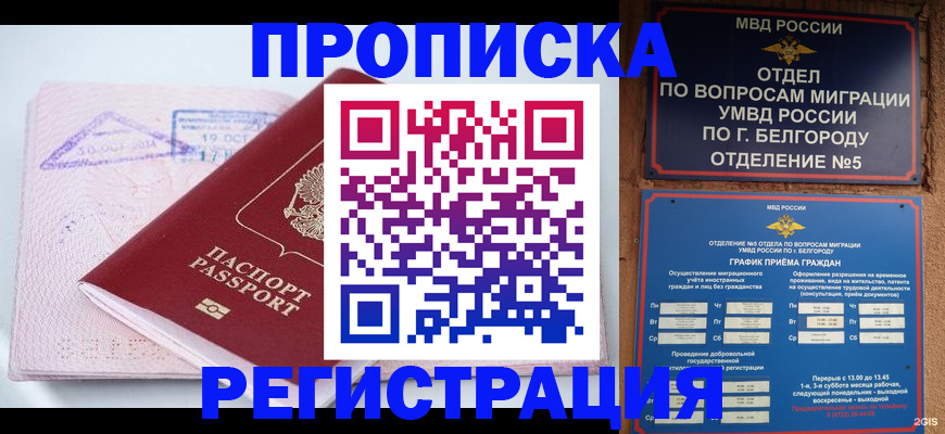 временная регистрация гарантия в Норильске